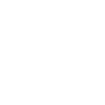 globe icon