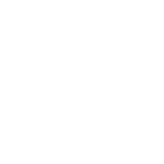 pin icon