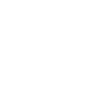 shield icon